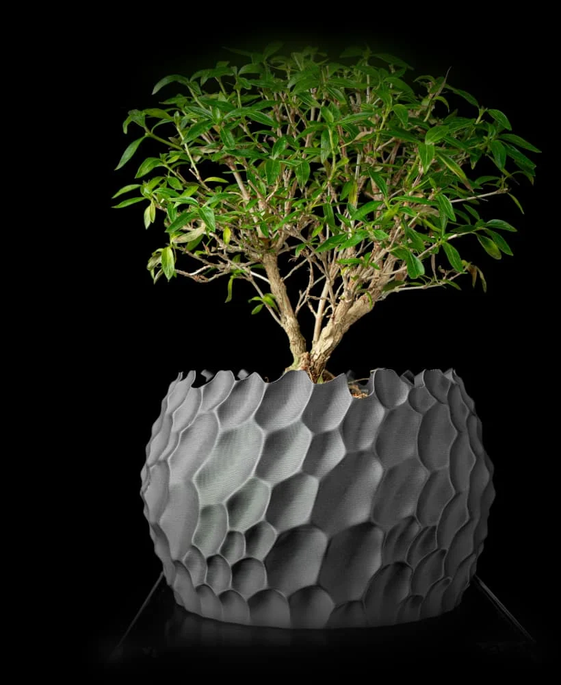 The Mirabel Pot - Image 2