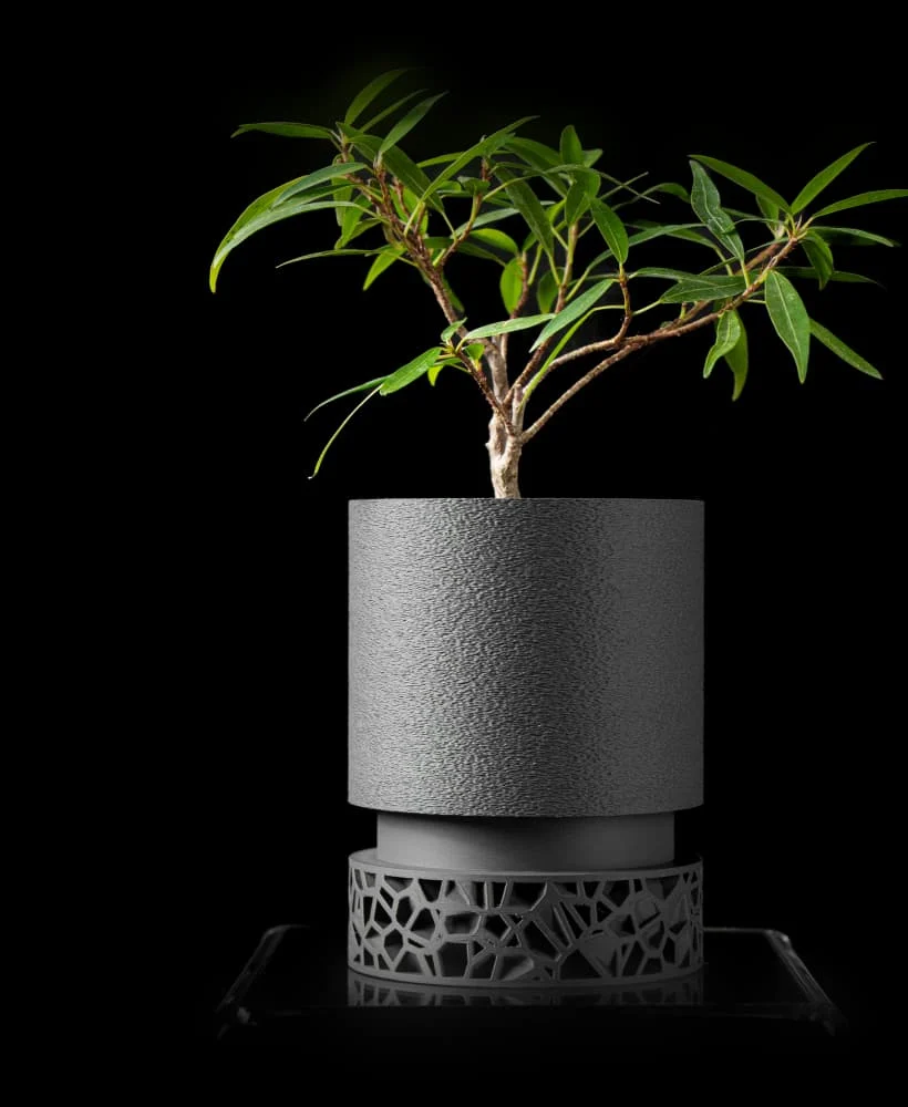 The Naia Pot - Image 2
