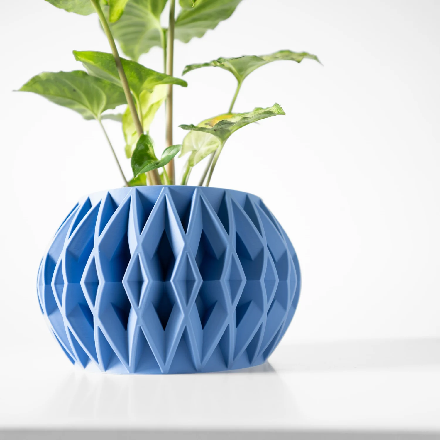 The Nalani  Pot - Image 2