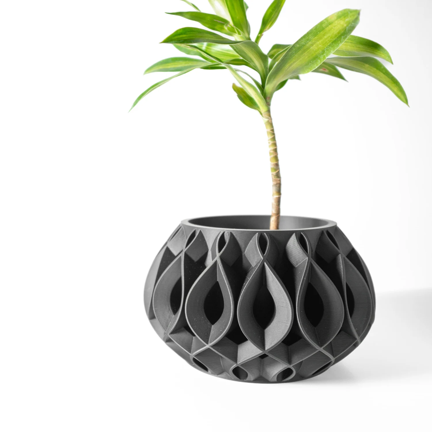 The Nerio  Pot - Image 2