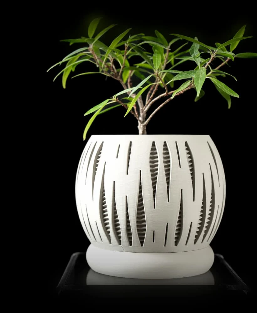 The Nerion  Pot - Image 2