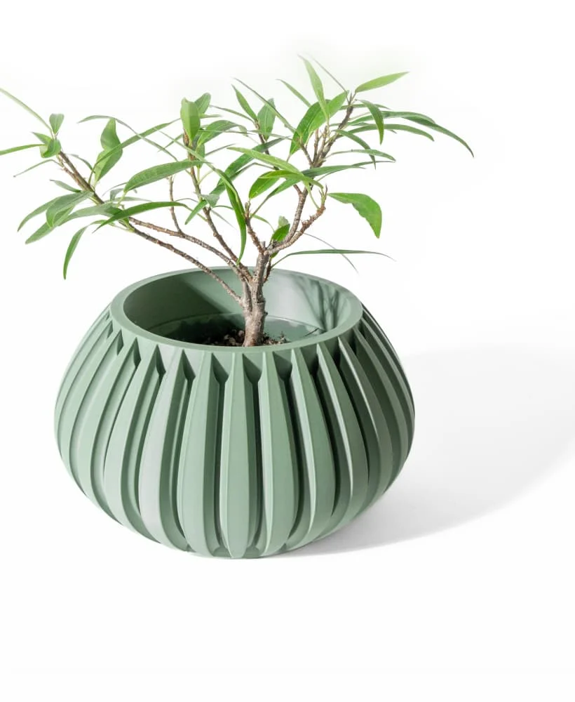 The Nettle  Pot - Image 2