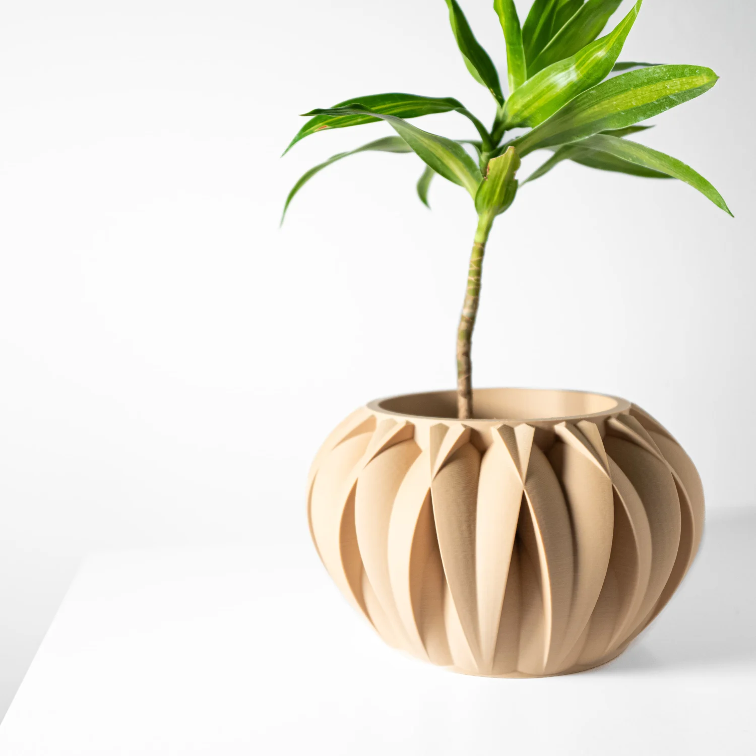 The Nils Pot - Image 2