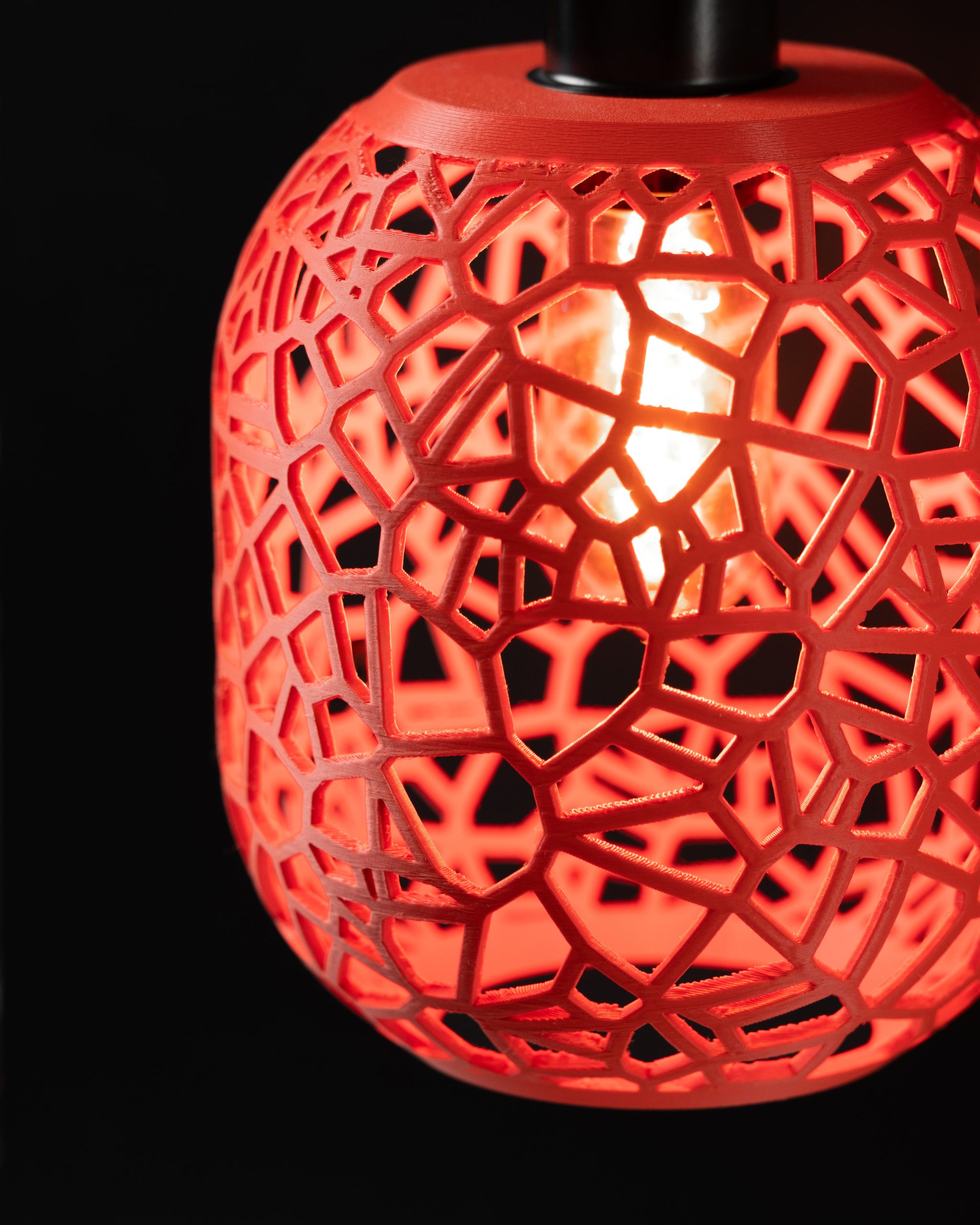 The Noxis Pendant Lamp - Image 3