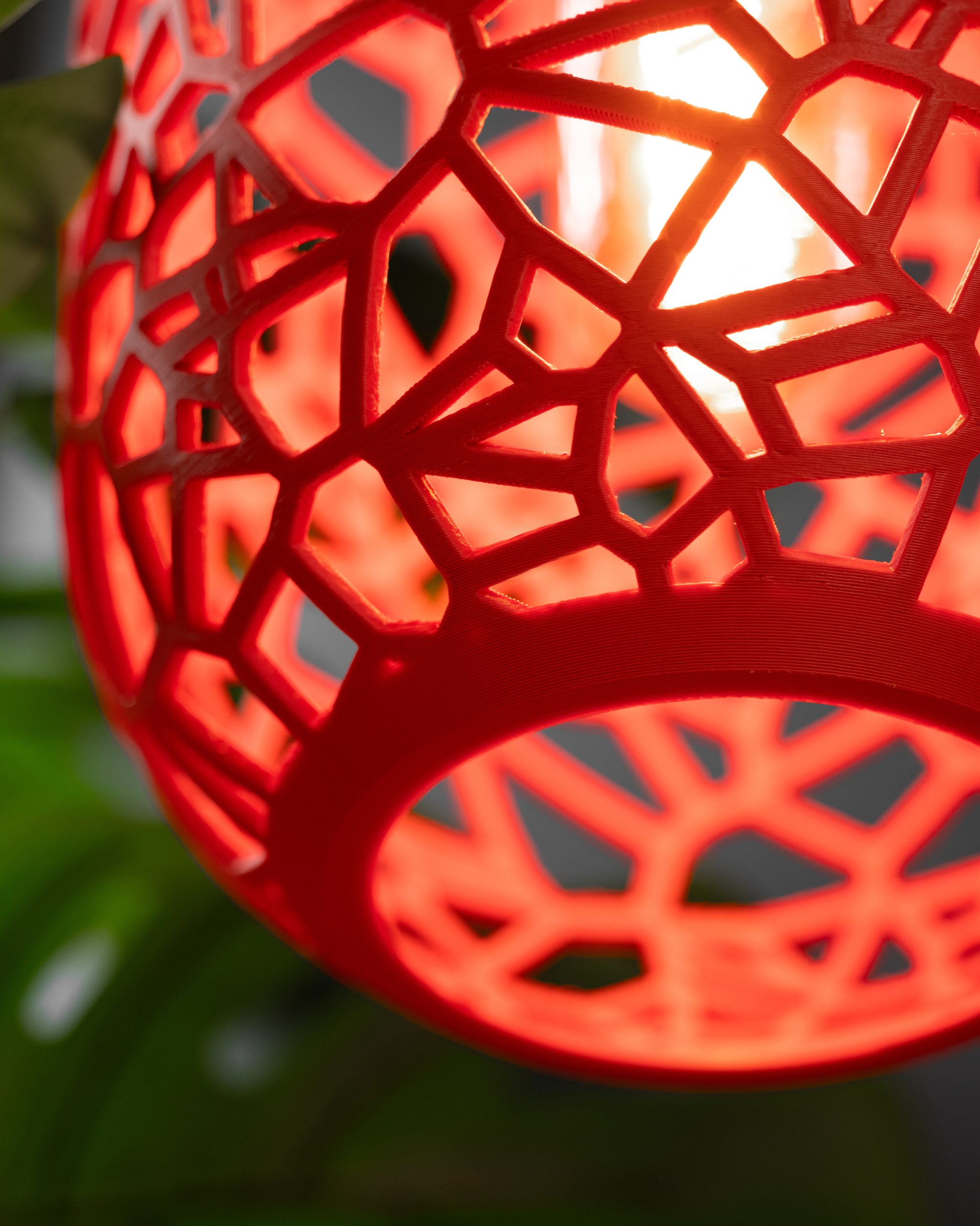 The Noxis Pendant Lamp - Image 4