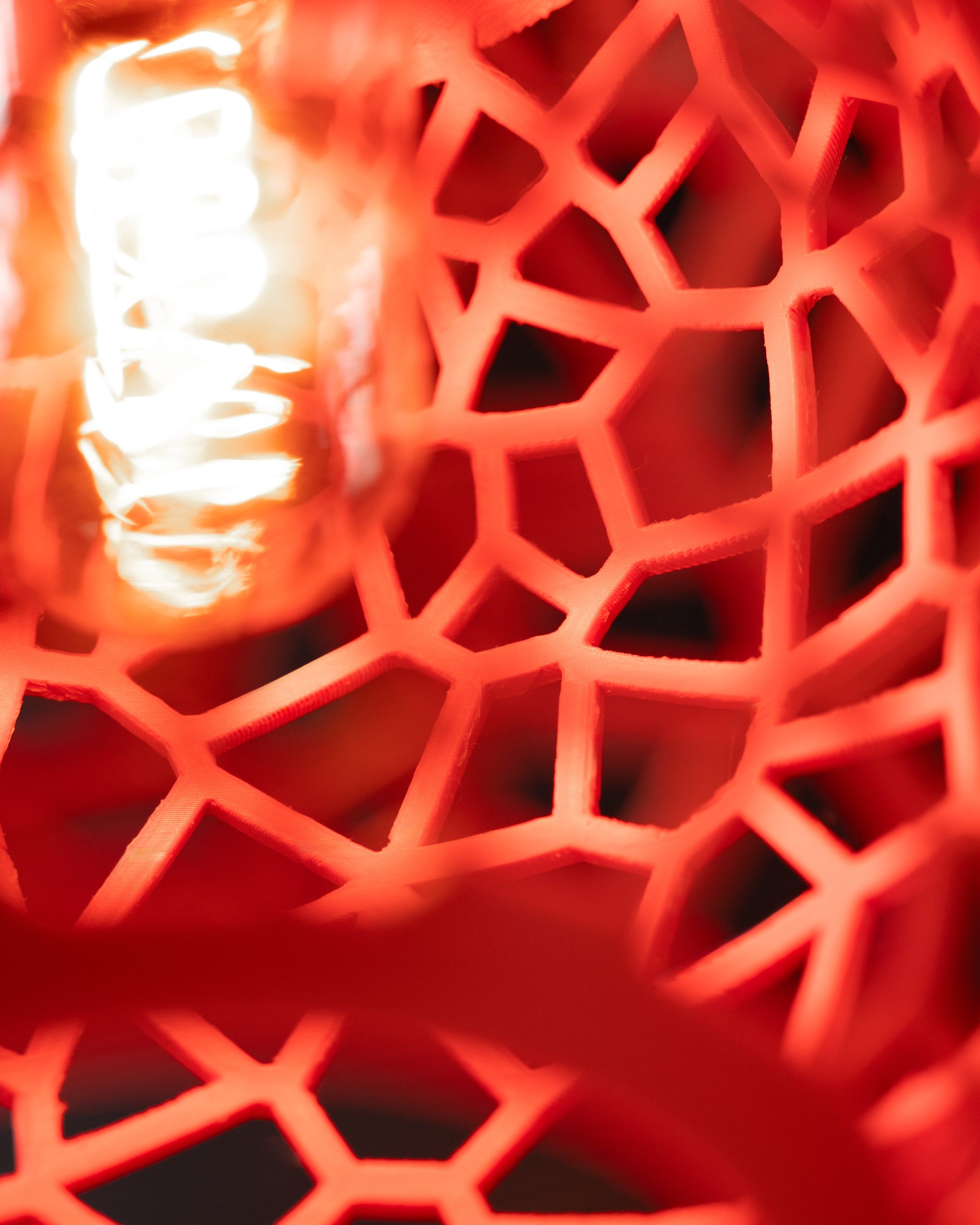 The Noxis Pendant Lamp - Image 5