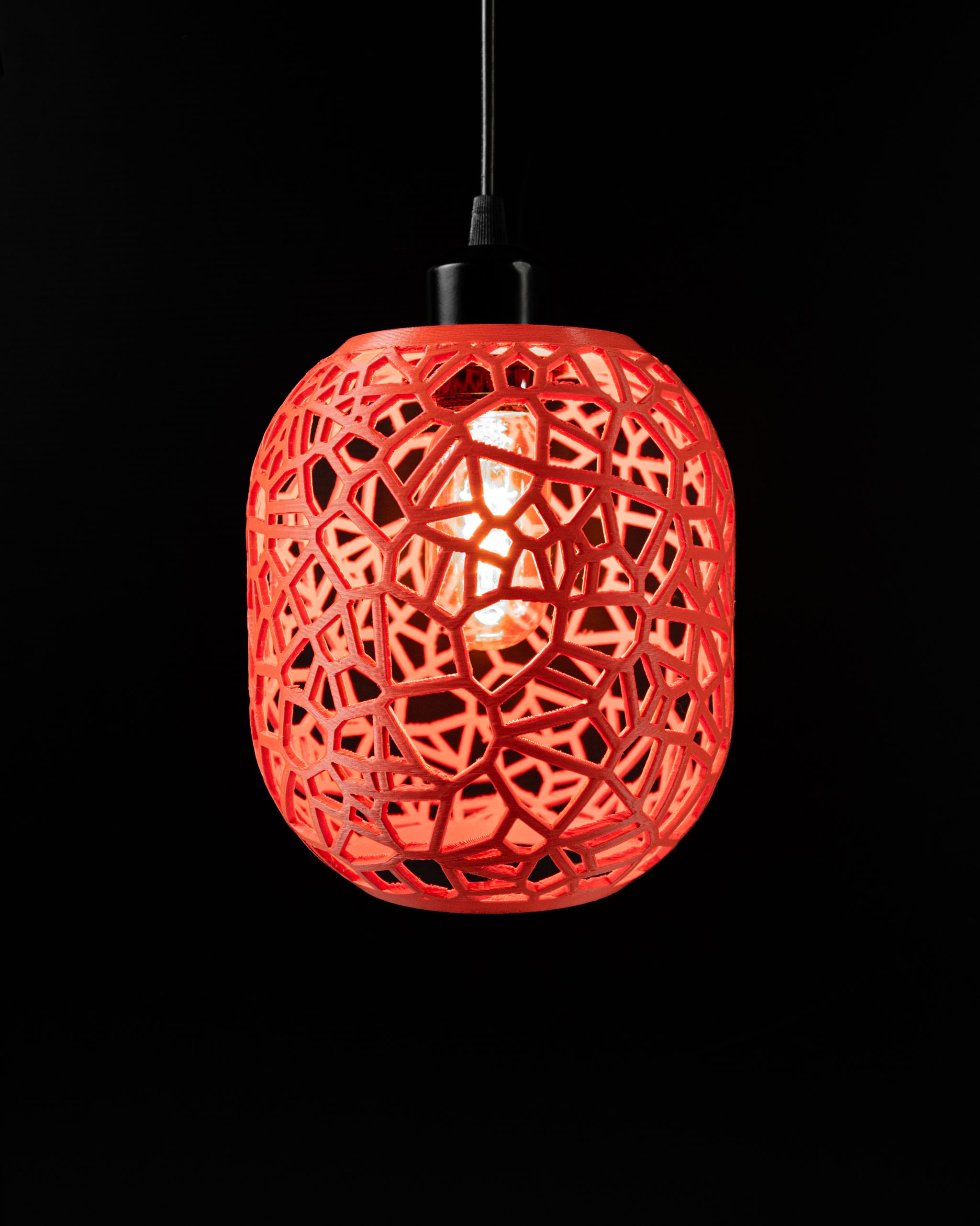 The Noxis Pendant Lamp
