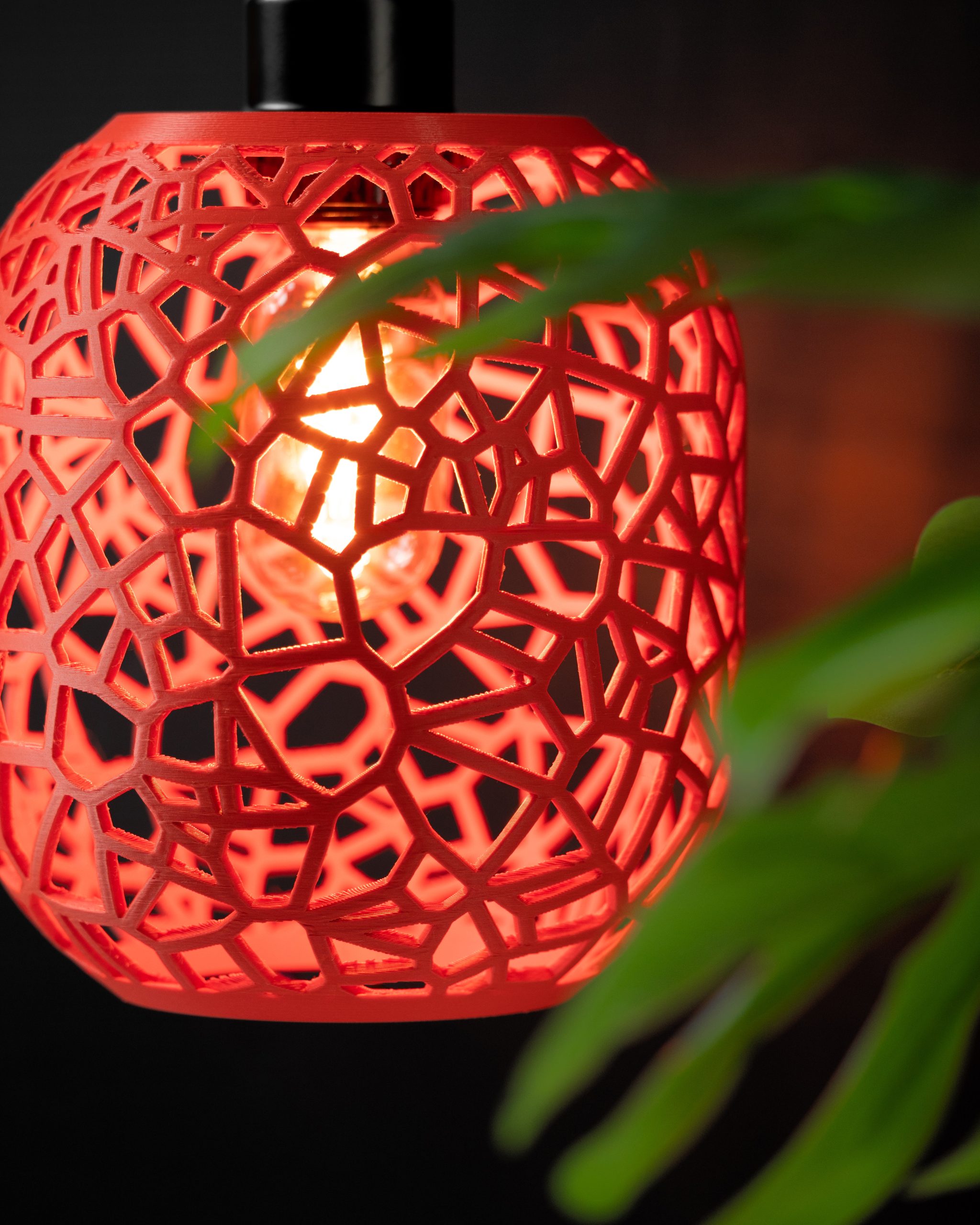 The Noxis Pendant Lamp - Image 2