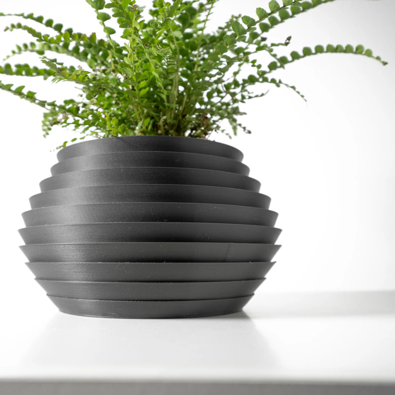 The Oakwood Pot - Image 2