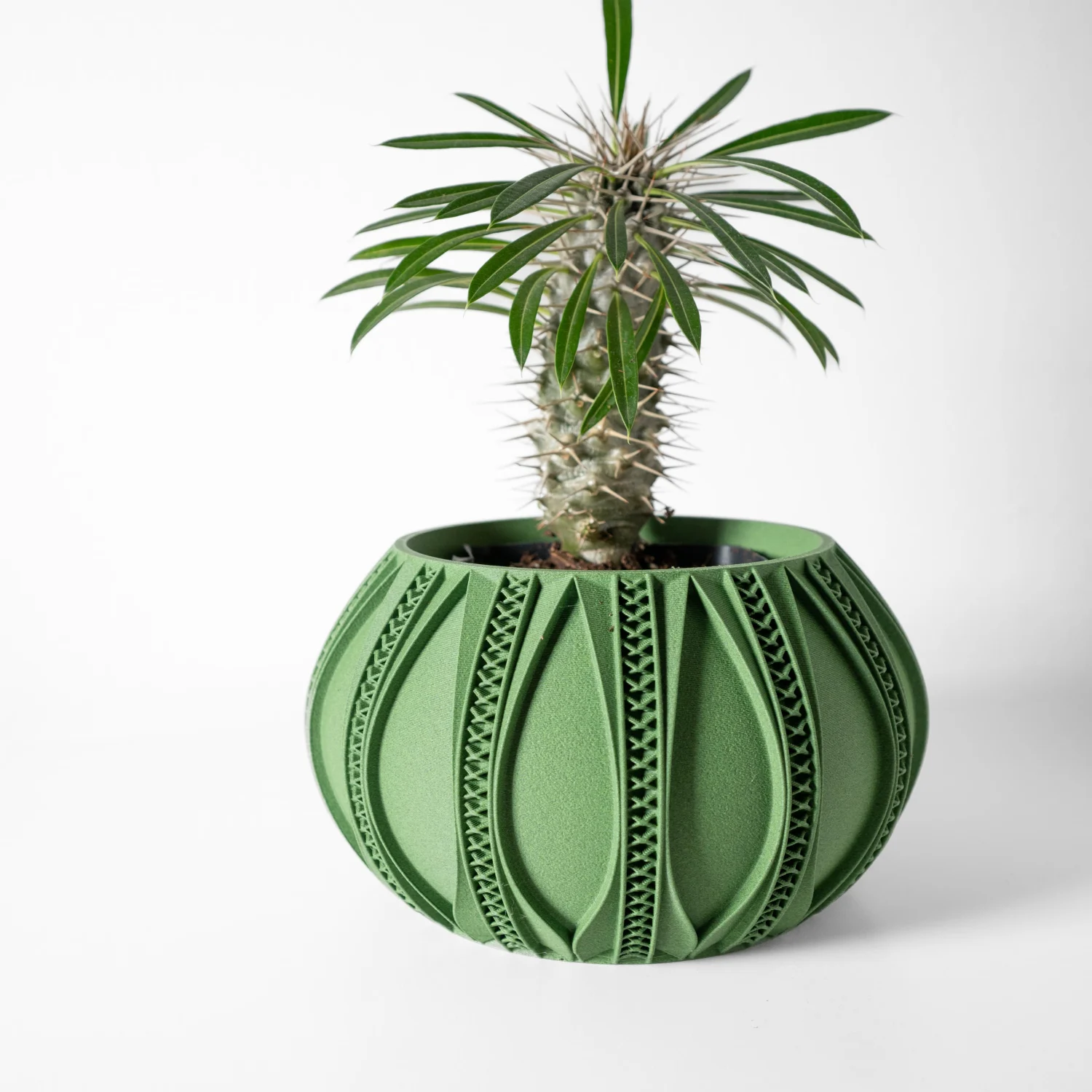 The Olivewood Pot - Image 2