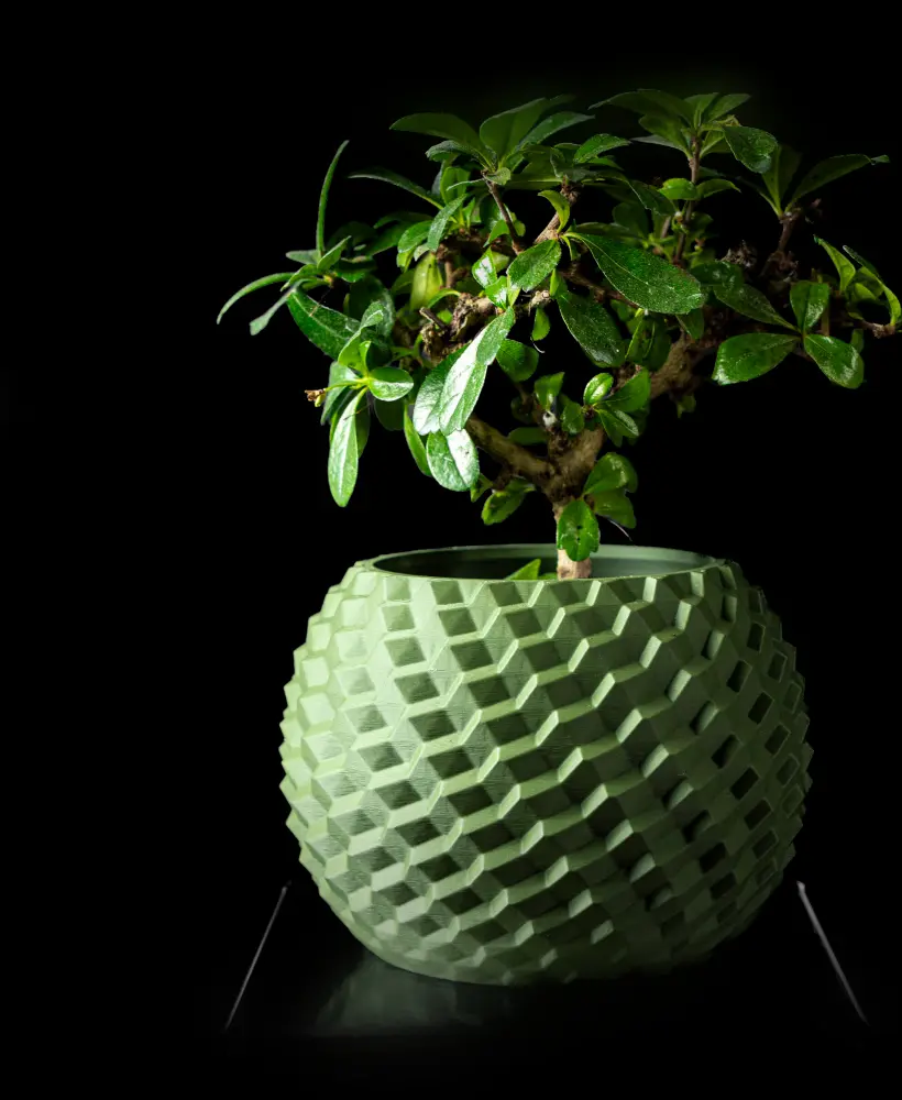 The Orionis  Pot - Image 2