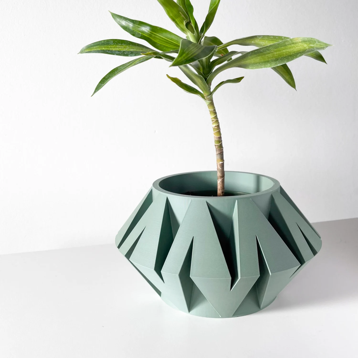 The Palmwood Pot - Image 2