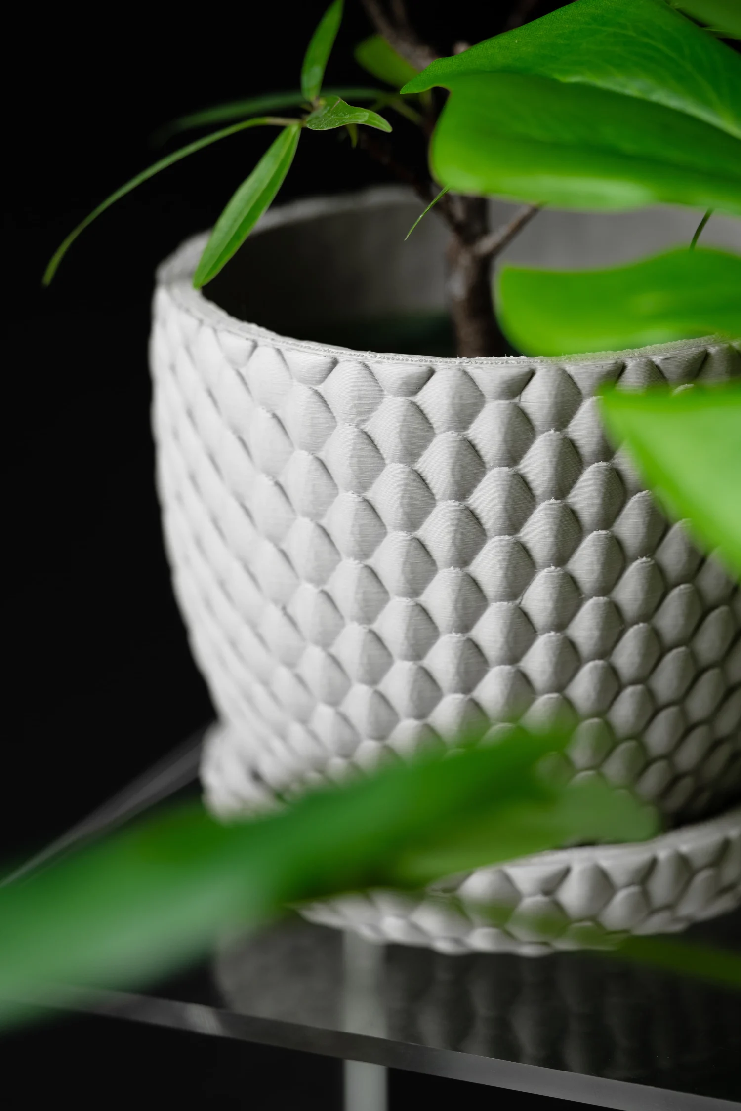 The Paloma  Pot - Image 2