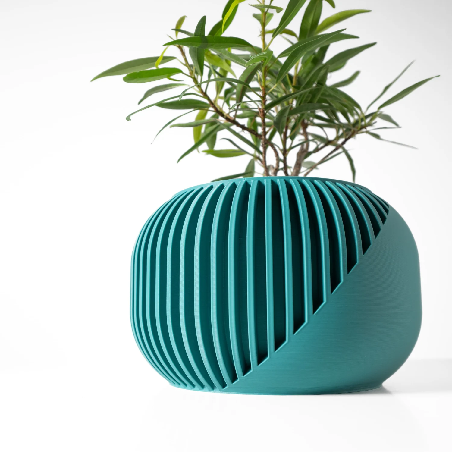 The Pavor  Pot - Image 2