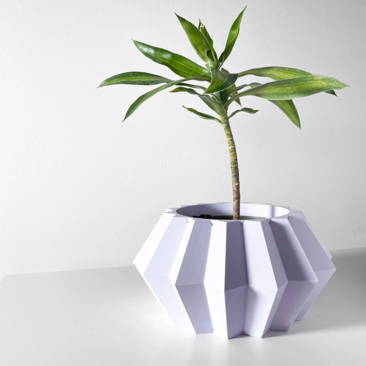 The Paxor  Pot - Image 2