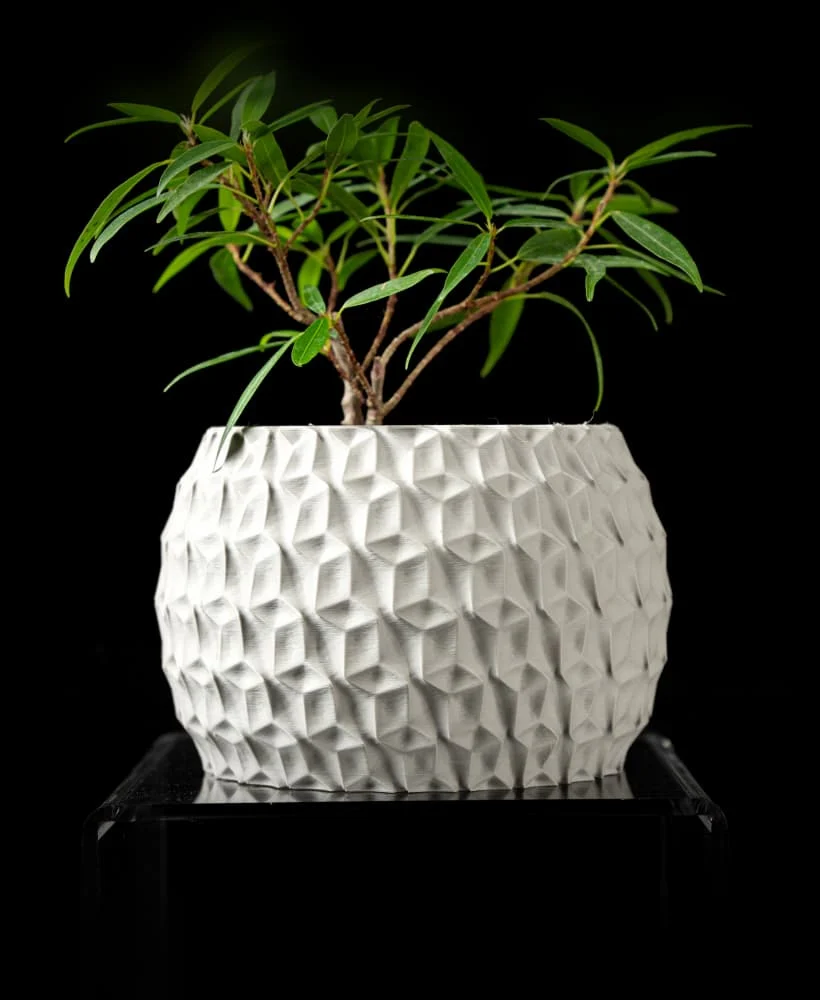The Relvion  Pot - Image 2