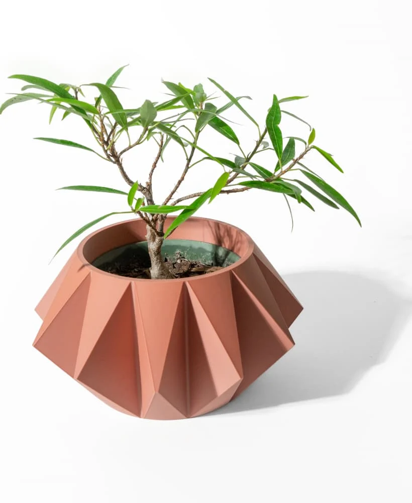 The Rhea  Pot - Image 2