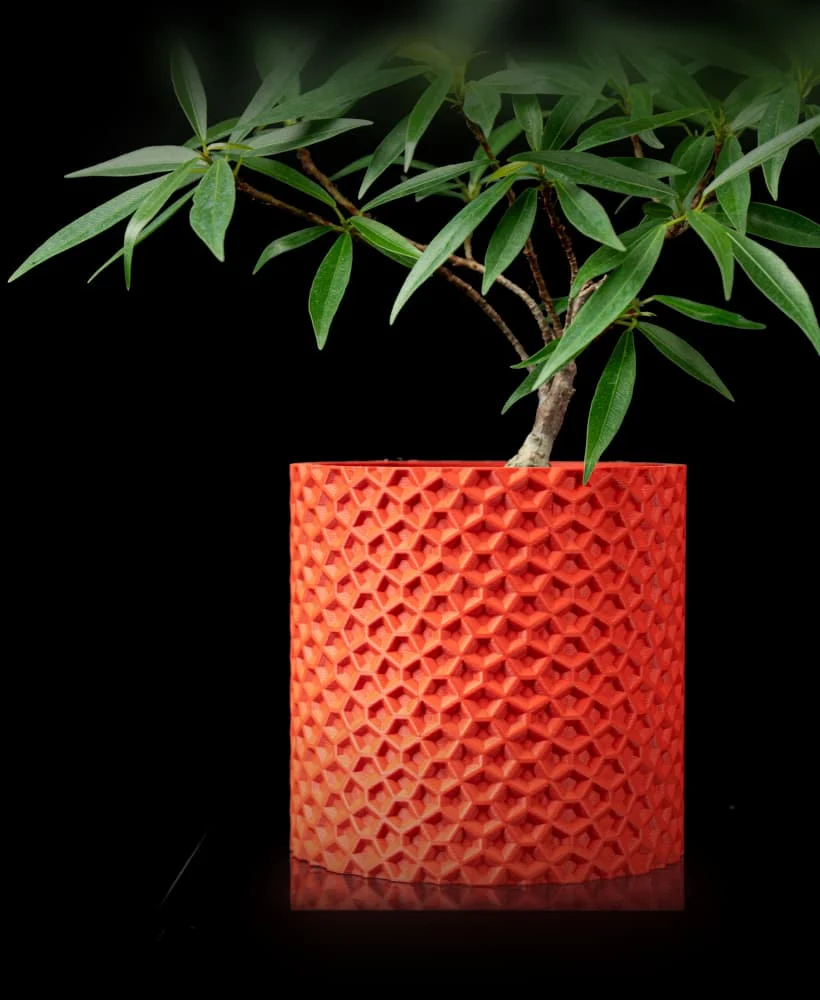 The Rorin  Pot - Image 2