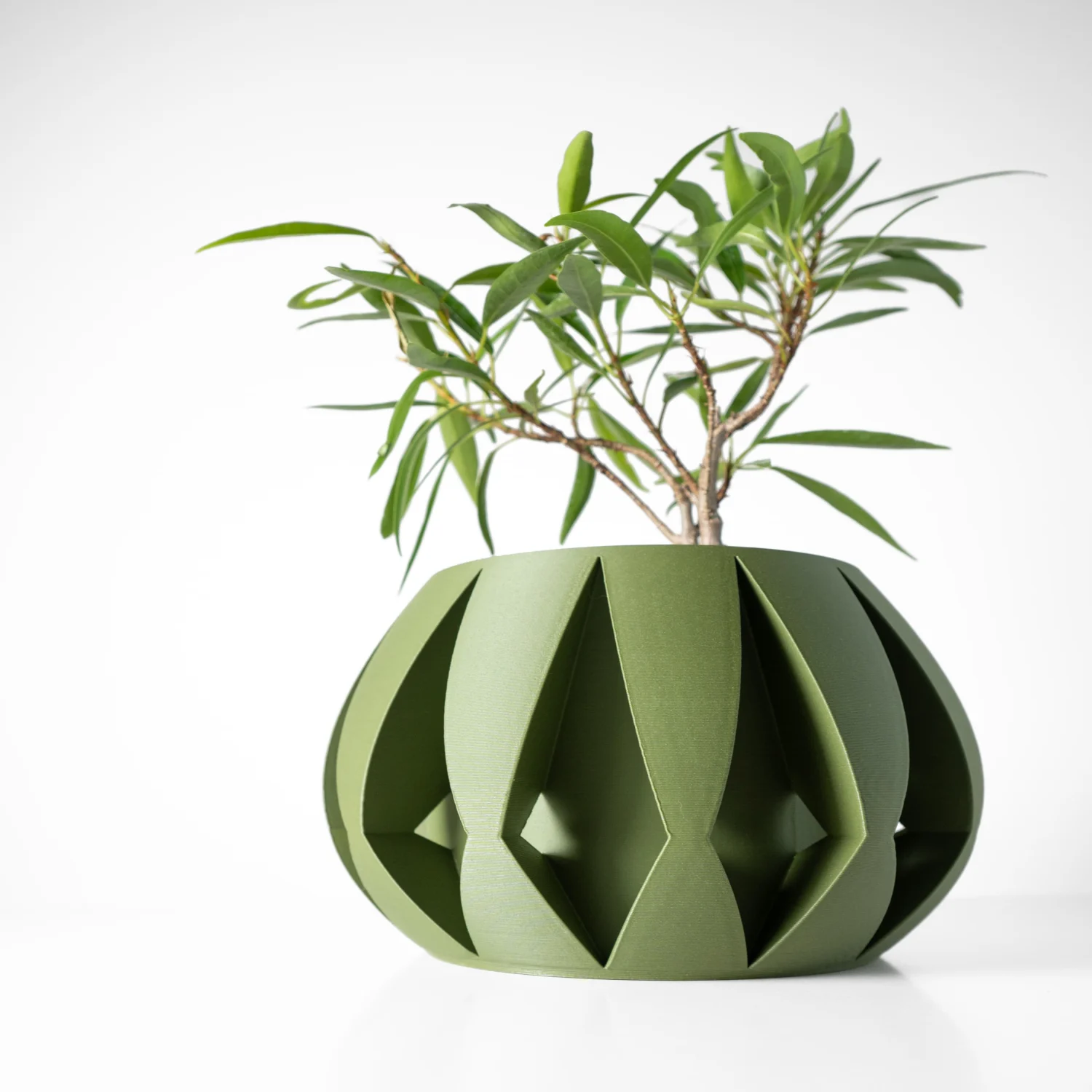 The Runa Pot - Image 2