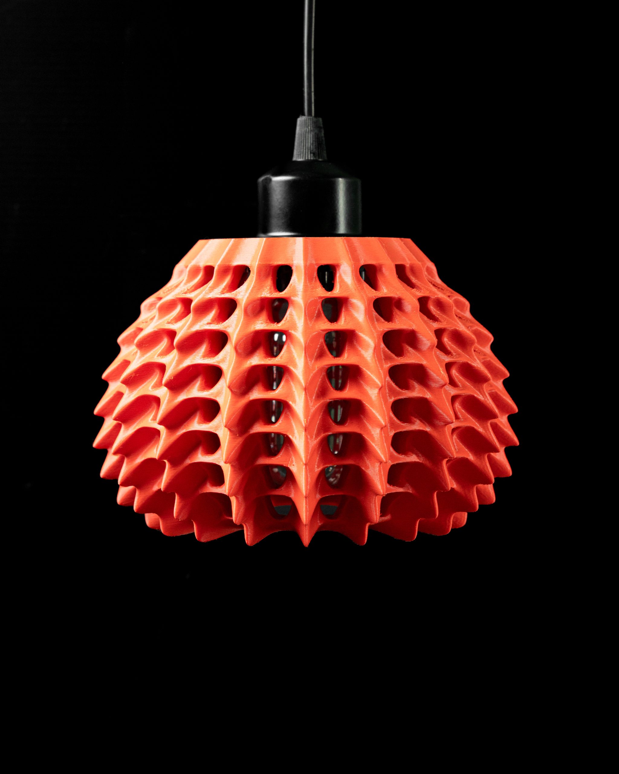 The Haloé Pendant Lamp