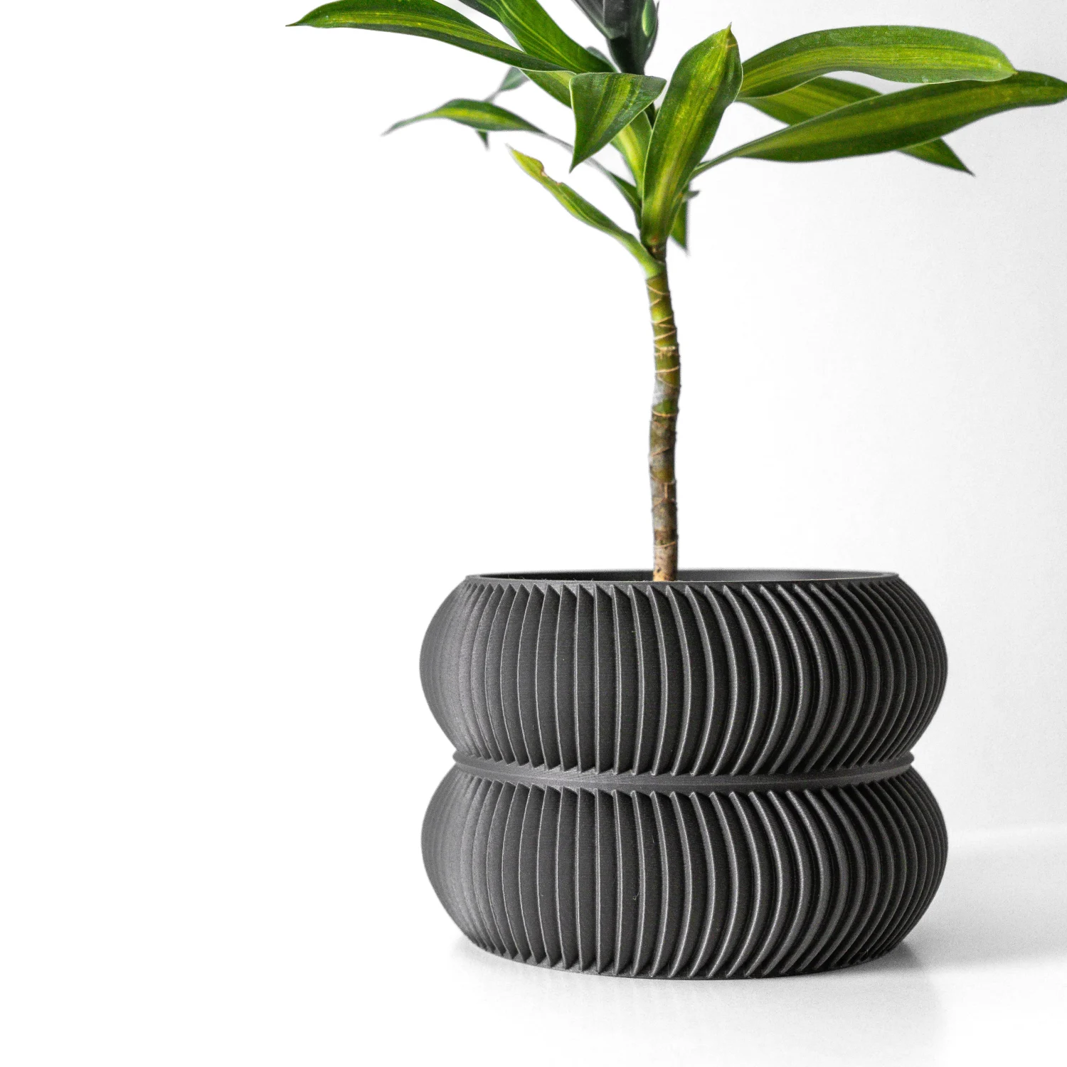 The Selene Pot - Image 2