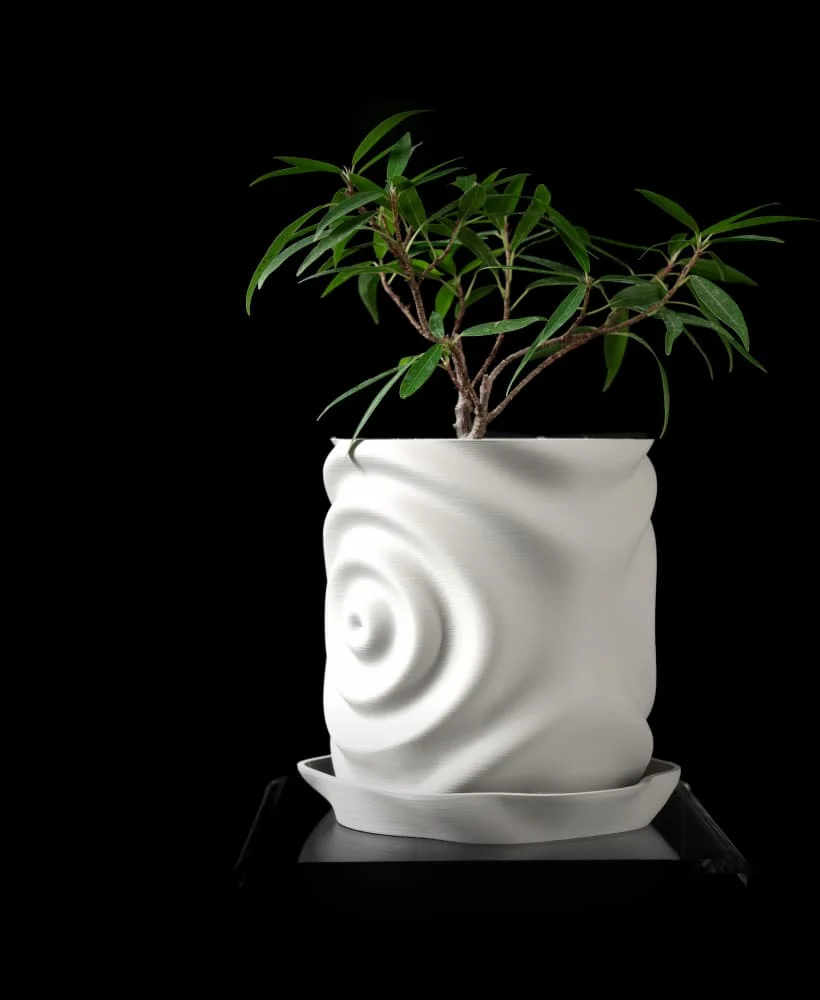 The Selix Pot - Image 2