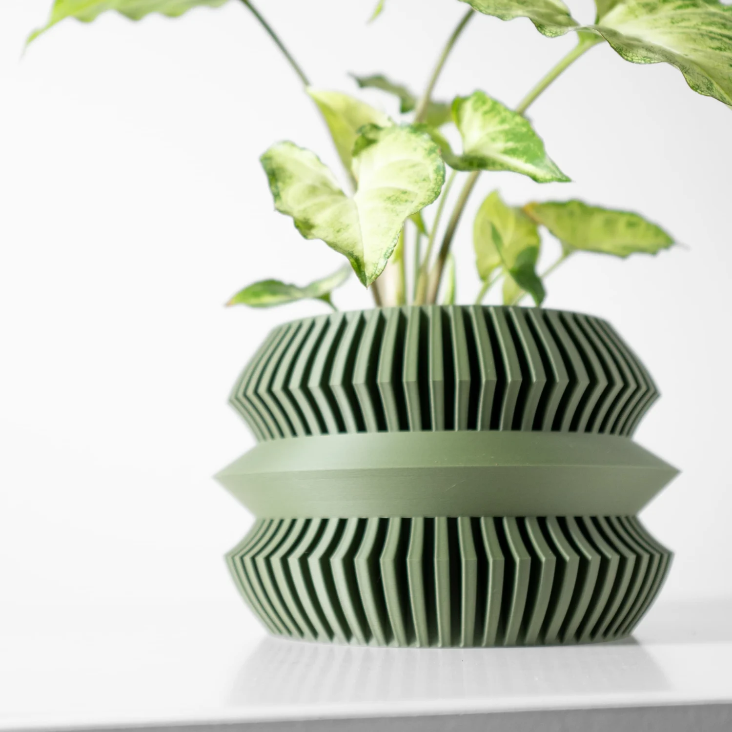 The Sevran Pot - Image 2