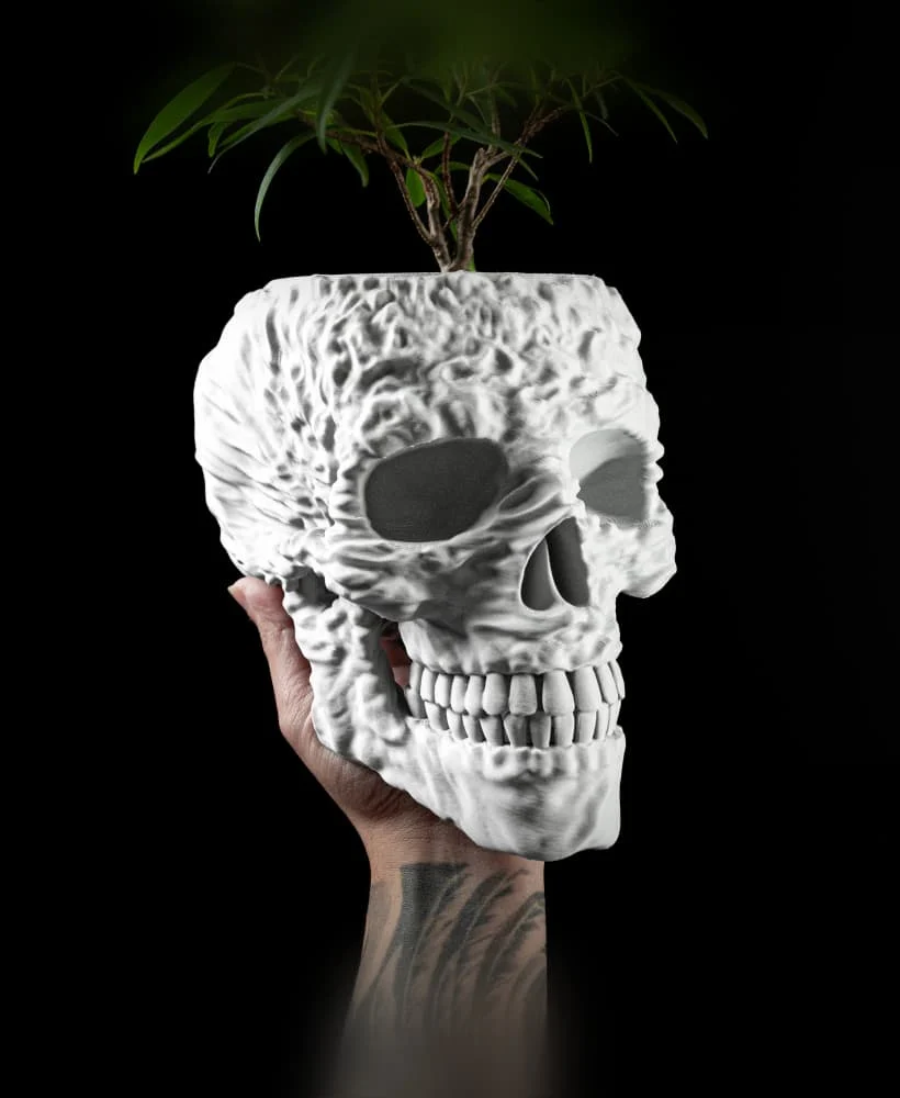 The Skull  Pot