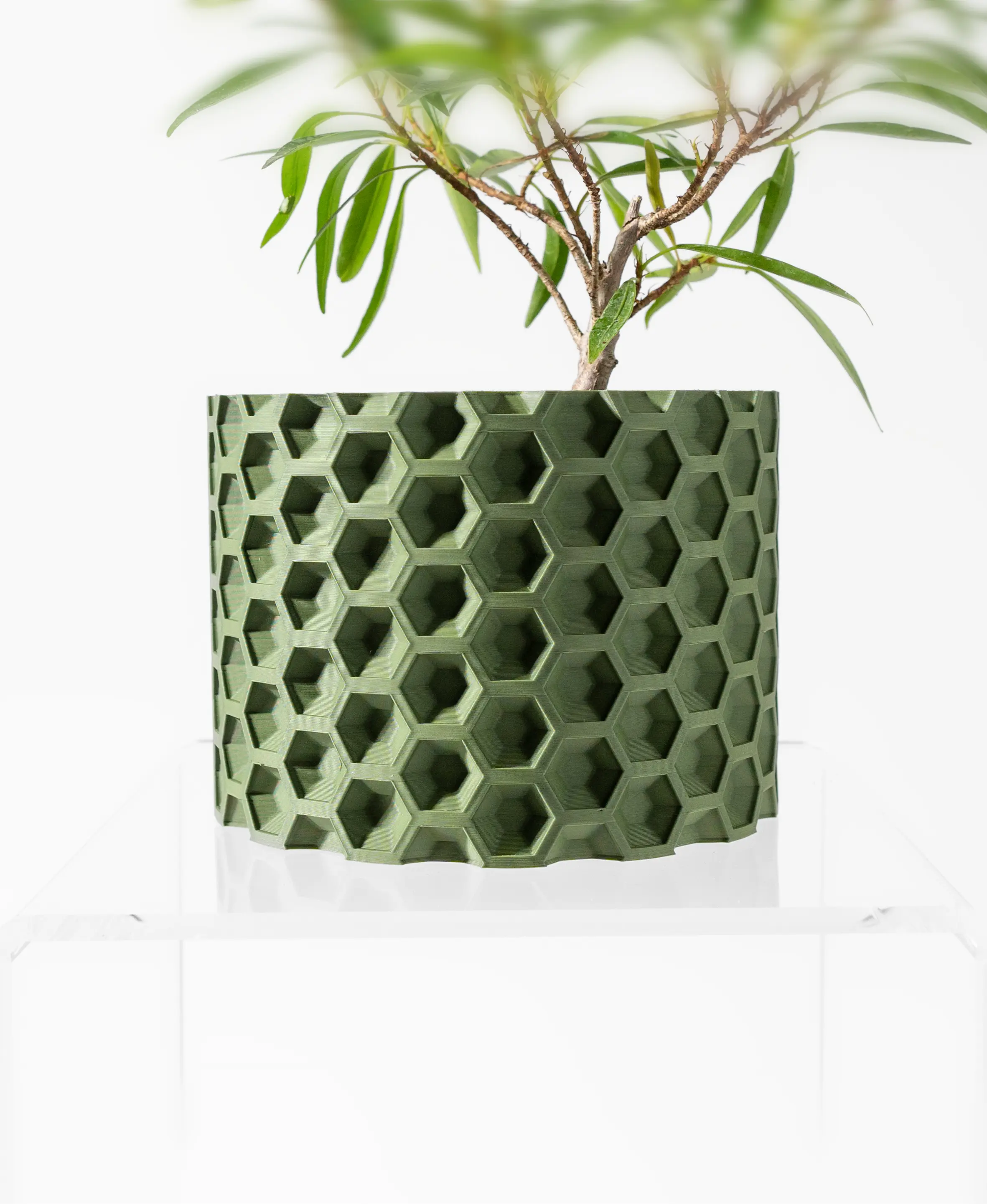 The Tamarisk Pot - Image 2