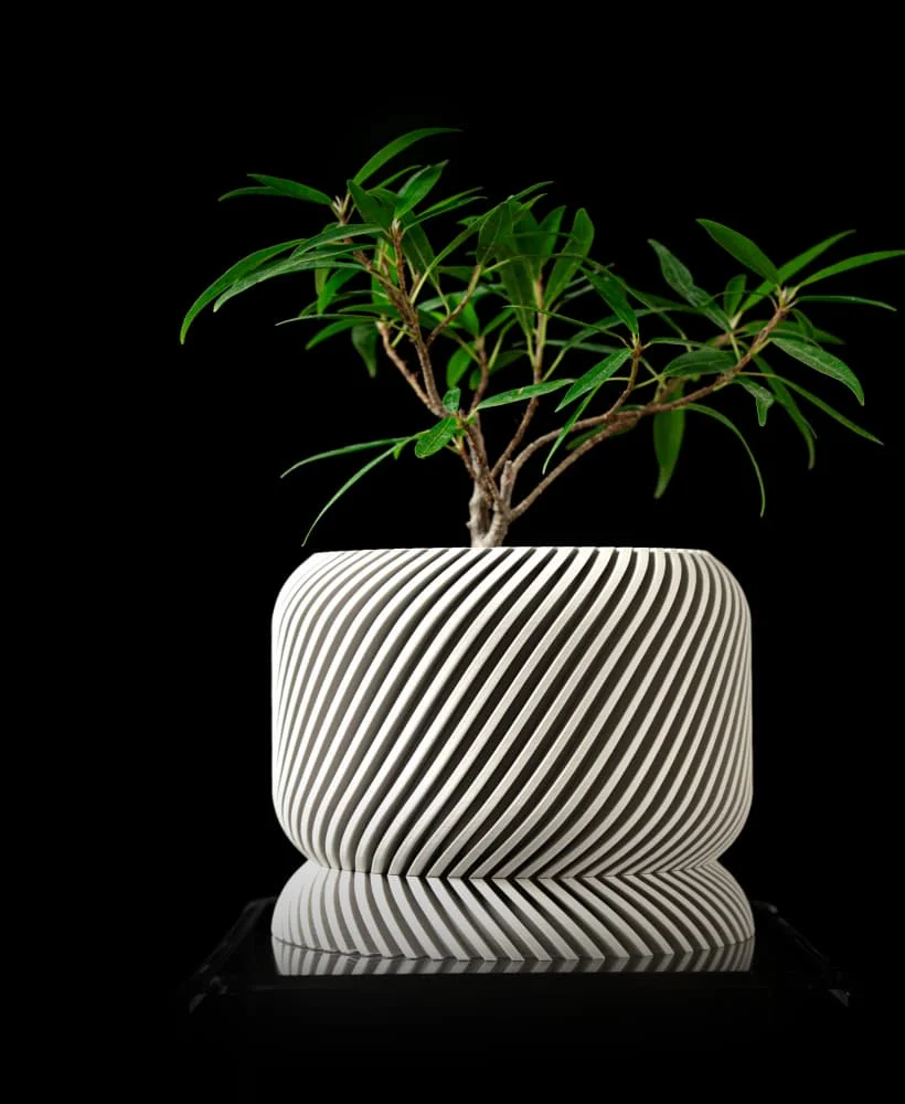 The Thistle  Pot - Image 2