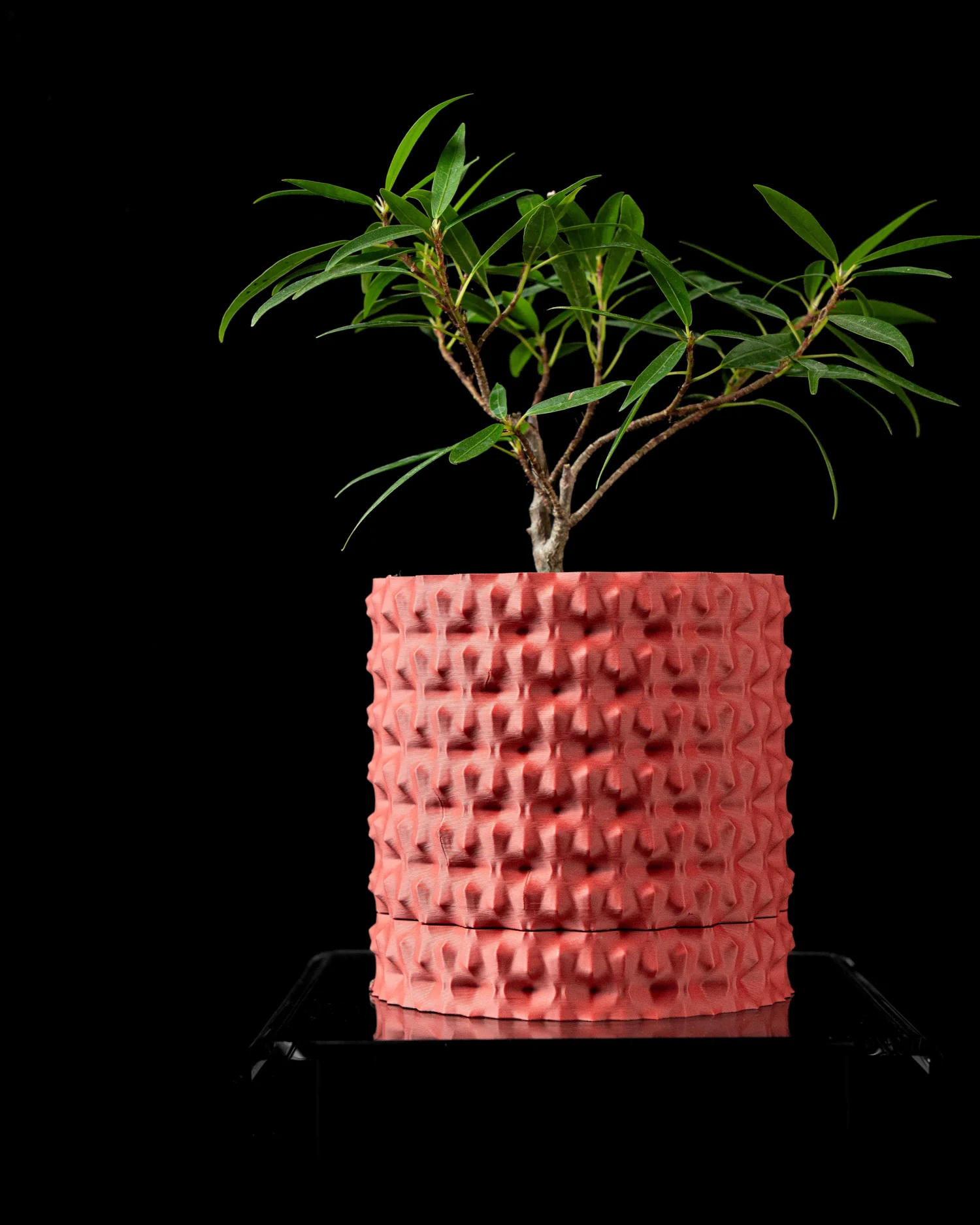 The Wexor  Pot - Image 2